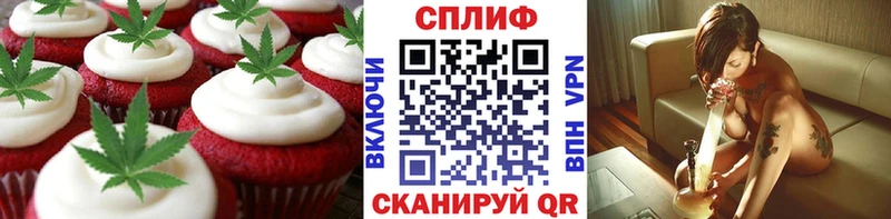 Купить закладки  Салаир  Cannafood конопля 