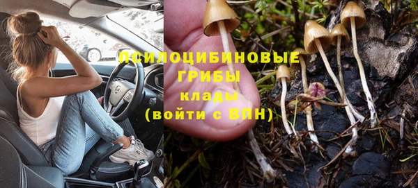 круглые Карталы