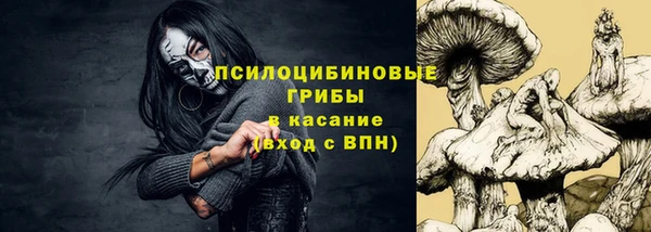 твердый Касимов
