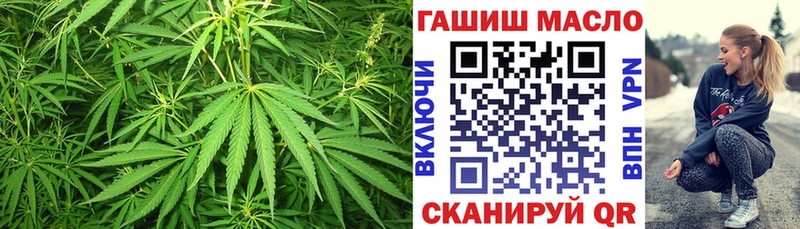 Купить где Салаир Дистиллят ТГК вейп